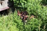 mkb_5-510_broemneset_2023_072