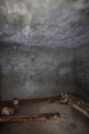 mkb_5-511_trondenes_2023_088