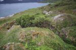 mkb_5-512_karlsoey_2025_028