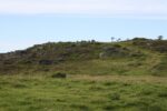 mkb_5-516_stranden_2016_101
