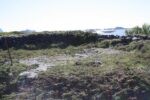 mkb_5-516_stranden_2019_035