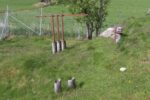 mkb_6-503_naerboe_2023_011