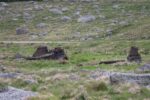 mkb_6-503_naerboe_2023_033