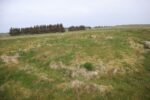 mkb_6-503_naerboe_2023_036