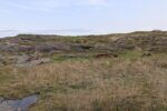 mkb_6-510_arnoey_2025_002