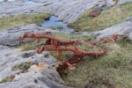mkb_6-510_arnoey_2025_008