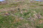 mkb_6-510_arnoey_2025_041
