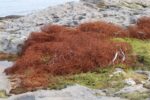 mkb_6-510_arnoey_2025_044