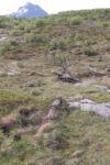 mkb_6-510_arnoey_2025_046