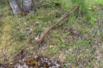 mkb_6-510_arnoey_2025_079