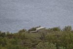 mkb_6-510_arnoey_2025_126