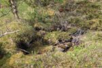 mkb_6-510_arnoey_2025_217