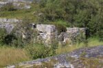 mkb_6-511_skrolsvik_2023_086