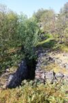 mkb_6-511_skrolsvik_2023_089