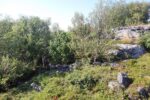 mkb_6-511_skrolsvik_2023_092