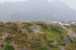 mkb_6-514_henningsvaer_2023_027