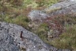 mkb_7-503_janshola_2023_012