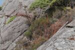 mkb_7-503_janshola_2023_061