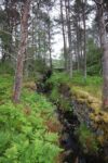 mkb_7-504_songnefjord_2023_014