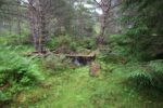 mkb_7-504_songnefjord_2023_040