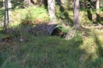 mkb_7-504_sognefjord_2025_001