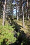 mkb_7-504_sognefjord_2025_019
