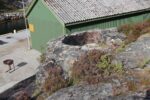 mkb_7-504_sognefjord_2025_022