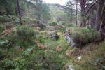 mkb_7-504_sognefjord_2025_060
