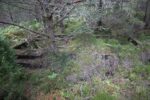 mkb_7-504_sognefjord_2025_074