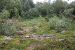 mkb_7-511_trondenes-II_2023_002