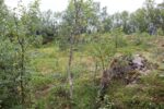 mkb_7-511_trondenes-II_2023_004