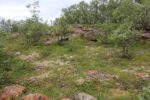 mkb_7-511_trondenes-II_2023_006