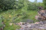 mkb_7-511_trondenes-II_2023_010