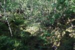 mkb_7-516_vaag_2023_013