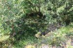 mkb_7-516_vaag_2023_014