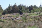mkb_8-504_selbjoernsfjord_2023_003