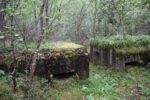 mkb_8-516_gjervik_2023_016