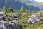 mkb_9-504_nordfjord_2023_001