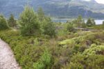 mkb_9-504_nordfjord_2023_047