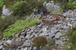 mkb_9-504_nordfjord_2023_058