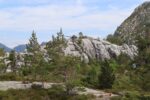 mkb_9-504_nordfjord_2023_060