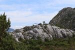 mkb_9-504_nordfjord_2023_065