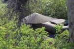 torpedobatterie_kaholmen_2023_015