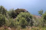 torpedobatterie_otteroey-sued_2023_001