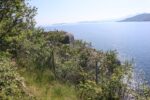 torpedobatterie_otteroey-sued_2023_003