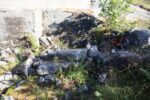 torpedobatterie_raune_2025_025
