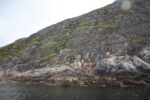 torpedobatterie_roedberget_2025_001