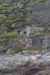 torpedobatterie_roedberget_2025_002