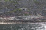 torpedobatterie_roedberget_2025_004
