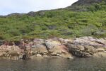 torpedobatterie_roedberget_2025_006